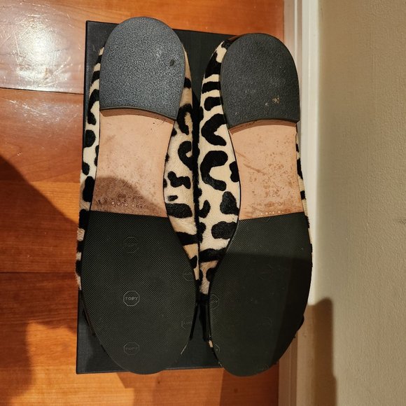 Giuseppe Zanetti - Picture 6 of 12